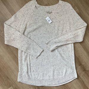 NWT Loft sweater